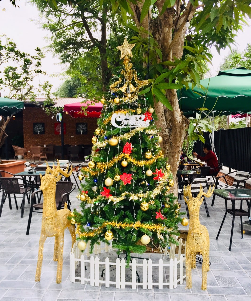 Cửa hàng mua bán cây thông noel quà tặng trang trí Giáng Sinh